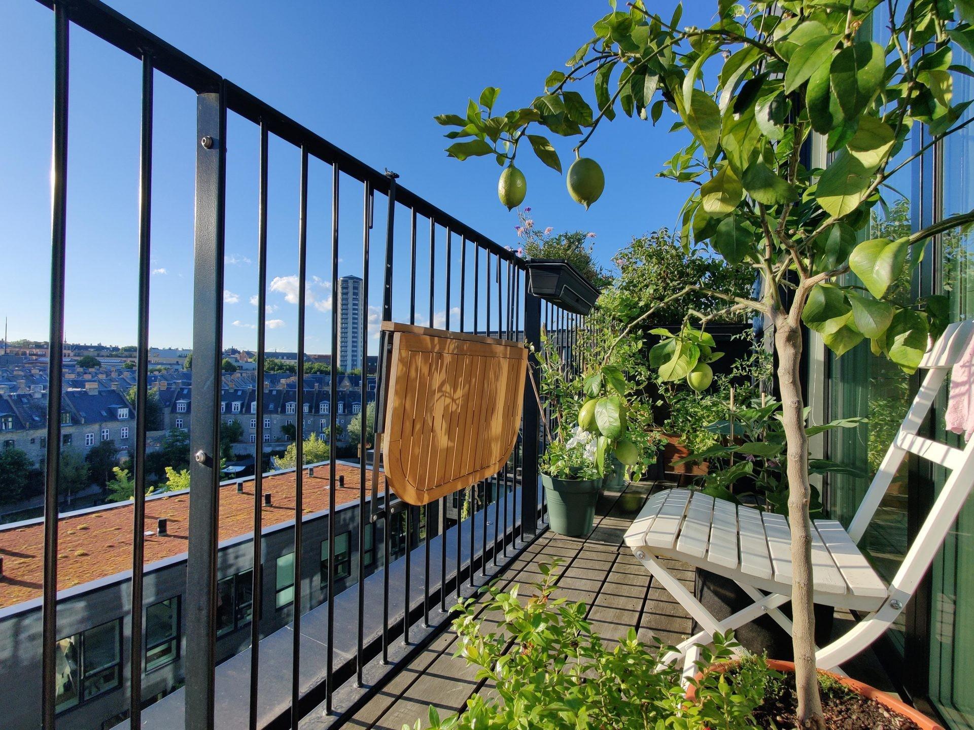 Cải tạo đất trồng cây cảnh giúp khu vườn thêm xanh tươi và sức sống